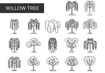 Blackandwhite sketch array of willow trees some with broad canopies others weeping all with varying textures and detail © Chico Store