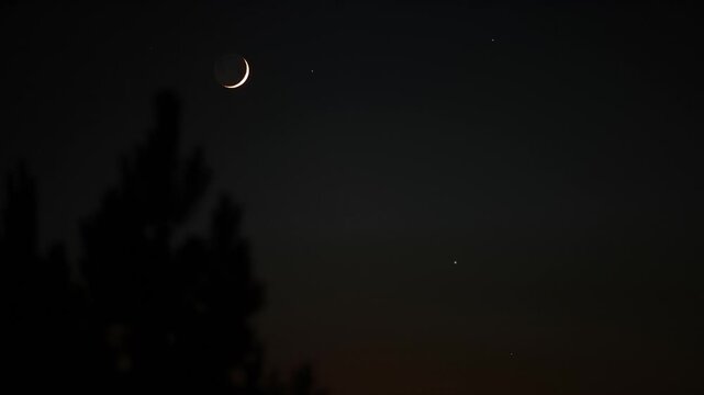 Crescent young Moon with stars, planets and windy tree silhouettes.