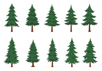 Ten evergreen trees with varying heights and widths in two rows on a white background