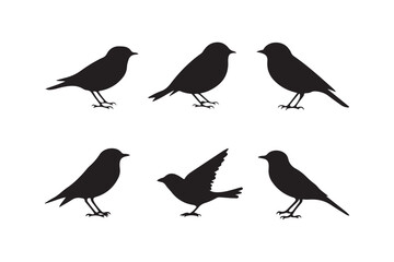 Collection of six bird silhouettes in various poses