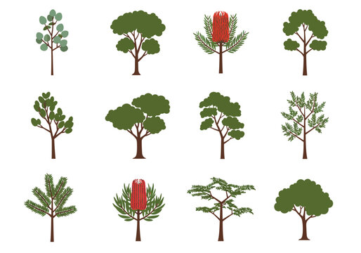Twelve diverse tree illustrations with varying leaf shapes and colors are arranged in a rectangular grid on a white background
