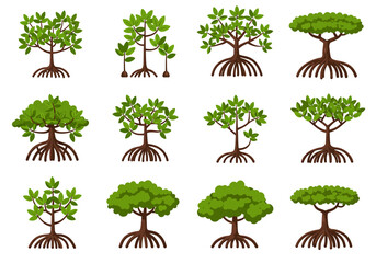 Twelve stylized mangrove trees arranged in a grid pattern showcasing root and leaf variations