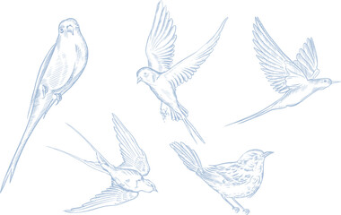 Vintage Toile de Jouy elements set  in Blue color.