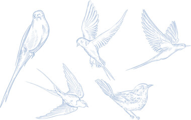 Vintage Toile de Jouy elements set  in Blue color.