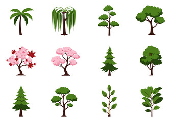 Twelve trees including palm willow maple cherry pine oak and birch arranged in a grid © Chico Store