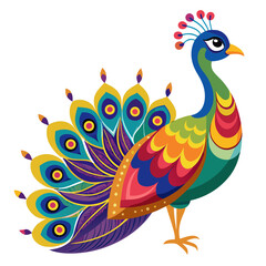 Obraz premium peacock vector illustration