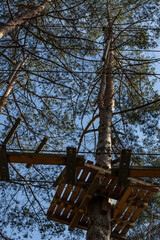 Platform in a tree on a forest adventure obstacle course, with defocused trees, and sunshine,  abstract backdrop