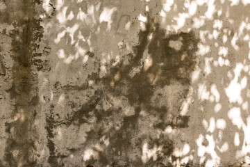 Forest trees foliage shadows on a abandoned and damaged cement stucco wall, abstract textured...