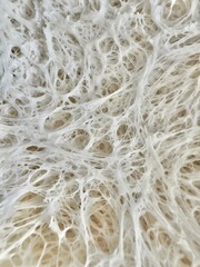 Close up of a sourdough, tesxtured bakground