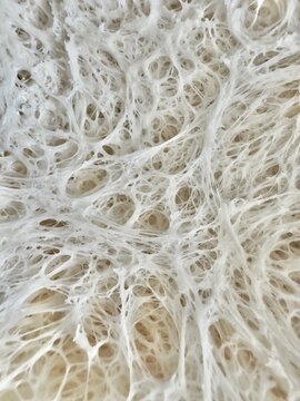 Close up of a sourdough, tesxtured bakground