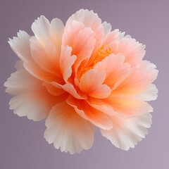 Elegant Peach Blossom Bursting with Light A Delicate Dance of Color and Form Against a Soft Backdrop