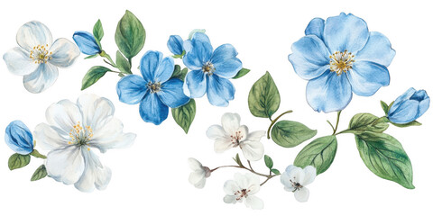 Obraz premium Floral arrangement with blue flowers on transparent png background