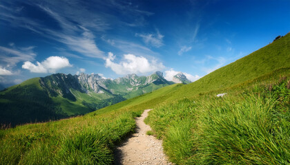 scenic mountain path through lush grassland under a bright blue sky with fluffy clouds inviting adventure and exploration amid the natural beauty of the landscape
