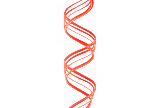 Vibrant red helix ribbon spiraling gracefully, illuminating transparent backdrop with dynamic, fluid motion