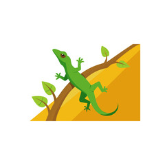 anole lizard climbing a vine in sunlight