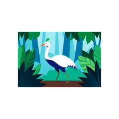 cassowary walking through dense rainforest floor