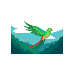 Obraz premium quetzal bird in flight above cloud forest