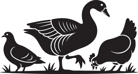 Obraz premium Black silhouette of farm birds on grass fowl poultry