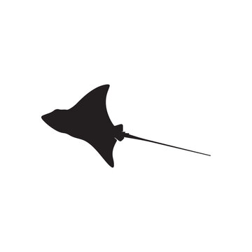 Common eagle ray silhouette vector flat illustration design on white background