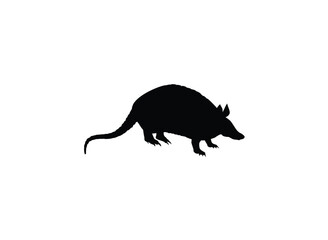 Silhouette of an armadillo standing, facing right, against a white background.