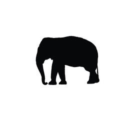 Silhouette of an elephant standing, depicted in solid black against a white background.