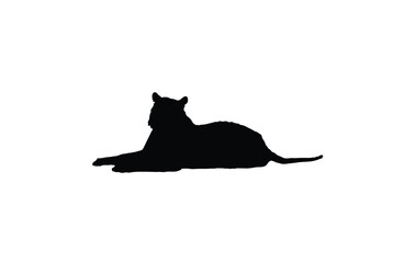 Silhouette of a resting leopard against a plain white background.