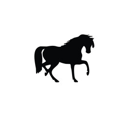 Elegant black silhouette of a horse gracefully poised in motion.