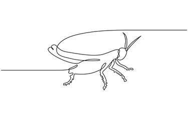 Grasshopper continuous one line drawing vector illustration, one line drawing of grasshopper insect animal, drawing insects concept.