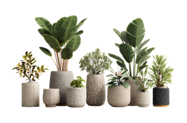 3D model of a collection of potted plants, featuring different types and sizes, in pots with various textures, on a transparent background.