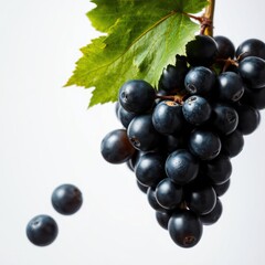 Fototapeta premium Black grapes with leaves isolated on transparent background dreamlike imagery subconscious exploration bending reality imaginative narratives juxtaposing elements evoking wonder and awe 