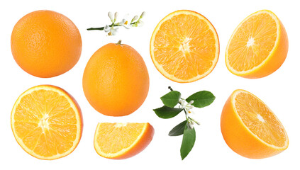 Fresh oranges, green leaves and blossoms isolated on white, set