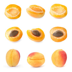 Fresh ripe apricot isolated on white, set. Whole and sliced