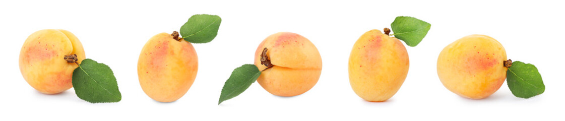 Fresh ripe apricot isolated on white, set