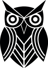 owl on white background