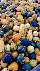 Gourds in the market