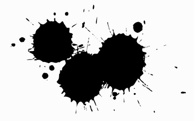 Black paint splashed on white background. ink vector
