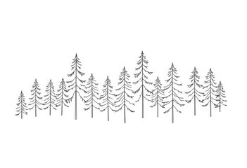 Obraz premium Minimalist CAD line drawing of a fir tree line, isolated on white Ideal for landscape design, outline, clean