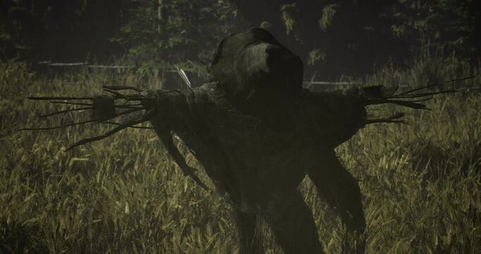 A scarecrow made of sticks and cloth looms over a shadowy field surrounded by dense forest. The dim light creates an unsettling atmosphere as twilight descends.