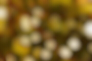 Dreamy Autumnal Hues Abstract Soft Focus Organic Shapes Subtle Patterns SPOK