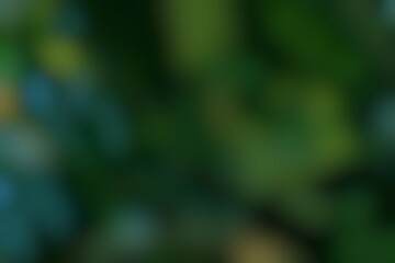 Ethereal Verdant Canopy Abstract Defocused Emerald Lushness Background State of Opacity