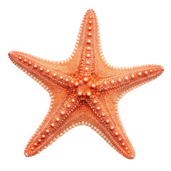 3d orange starfish isolated on transparent background
