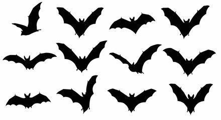 Fototapeta premium Bat Silhouettes Vector Set on White Background