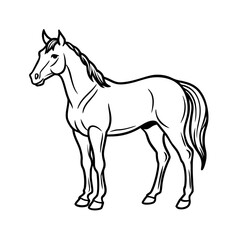 Detailed black and white line drawing of a majestic horse standing gracefully isolated on white background isolated on transparent background