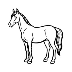 A detailed line drawing of a majestic horse standing proudly isolated on white background isolated on transparent background