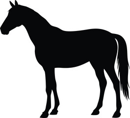 Calm horse silhouette standing with lowered head isolated on white background isolated on transparent background