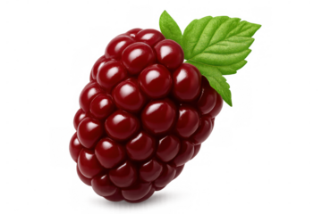Fresh blackberry with vibrant red globes and a green leaf, isolated on a transparent background, ideal for food and beverage projects