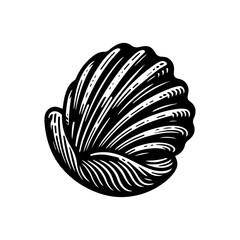 Black and White Stylized Seashell Illustration.