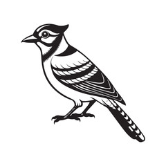 Blue jay bird vector illustration logo sticker design silhouette 