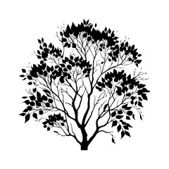Fototapeta premium Black Silhouette of a Lush Leafy Tree.