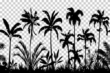 Hand Drawn Tropical Plants Vector Art Black and white tree vector for Botanical art